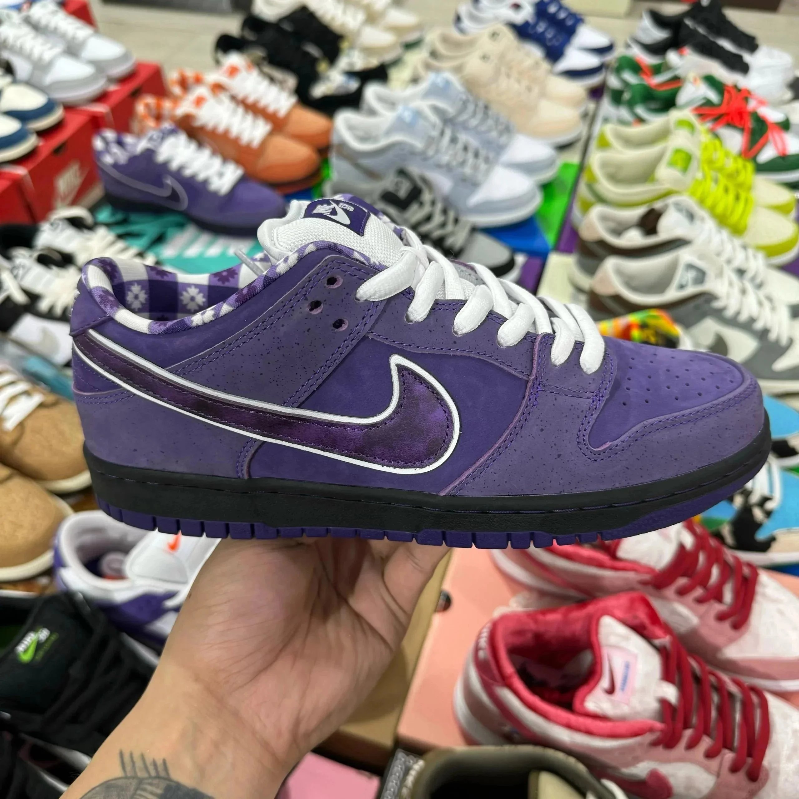 Purple lobster SKU image