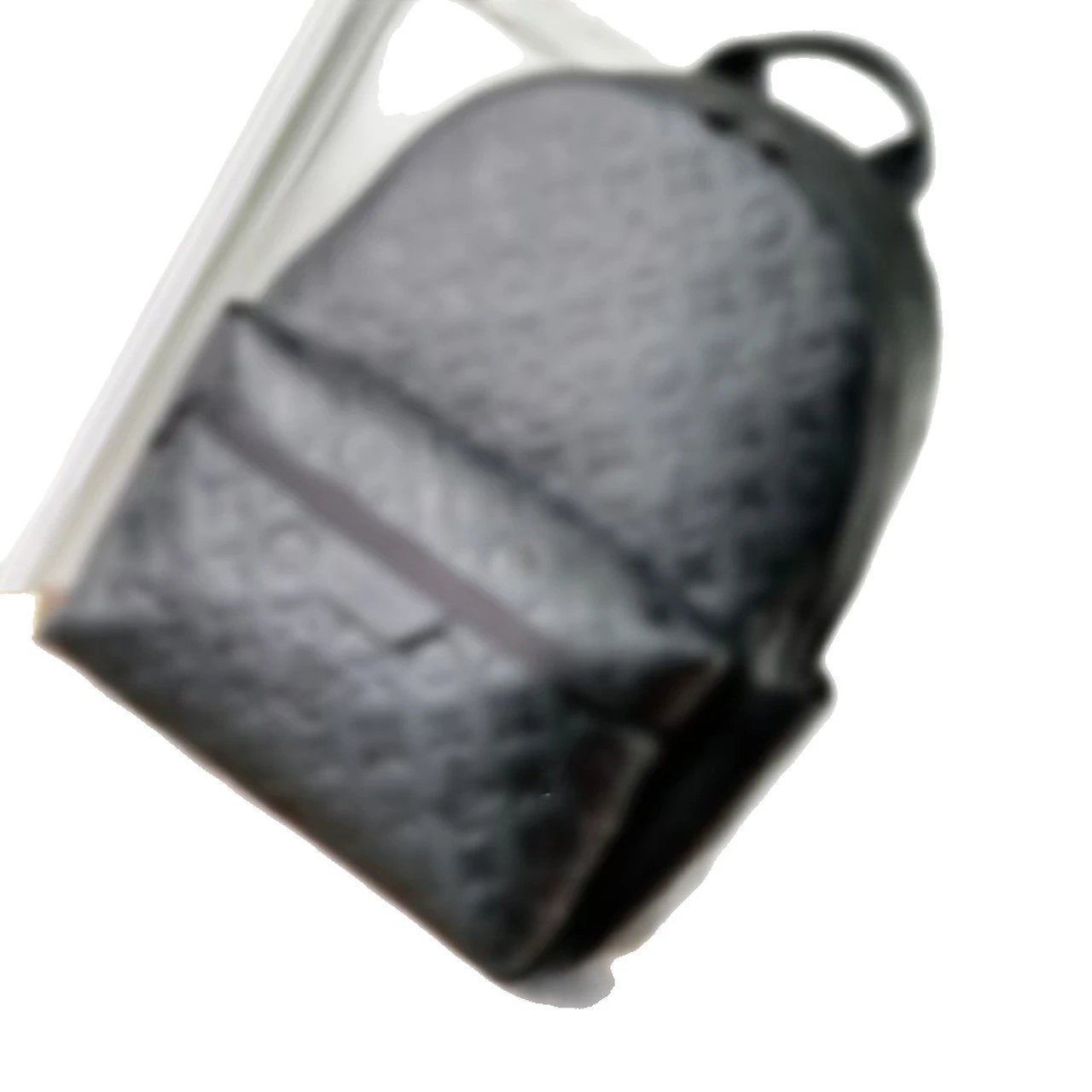 Ln bag 10001WD bag CC22Y