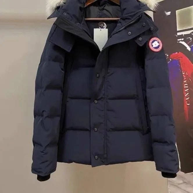 Navy Blue Raccoon Dog Fur
