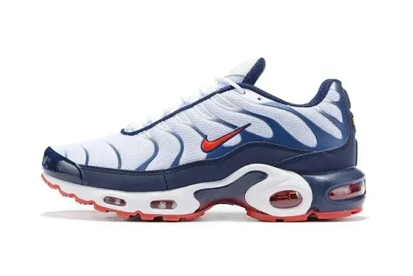 Nike Air Max Plus 'Smoke' Multicolor Sneakers - 3