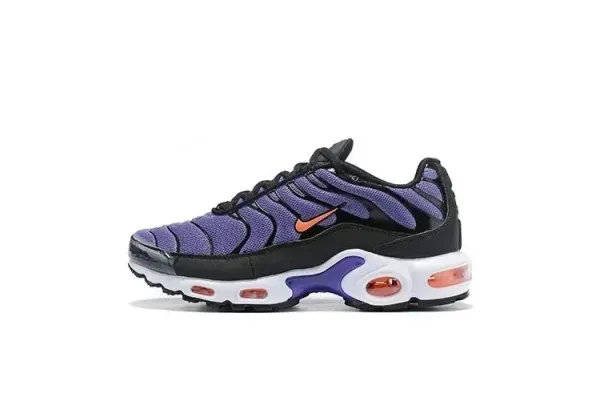 Nike Air Max Plus 'Smoke' Multicolor Sneakers - 9