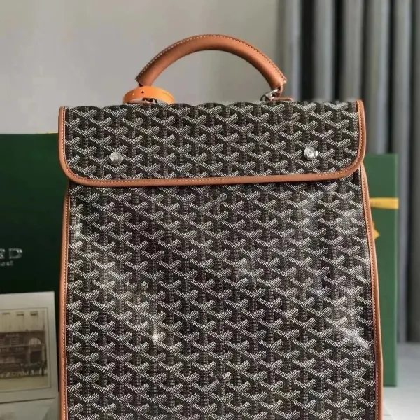 Goyard Saint Louis PM Black and Beige Canvas Handbag - 1