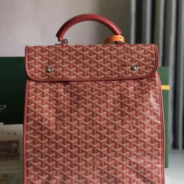 Goyard Saint Louis PM Terracotta Canvas Handbag - 1