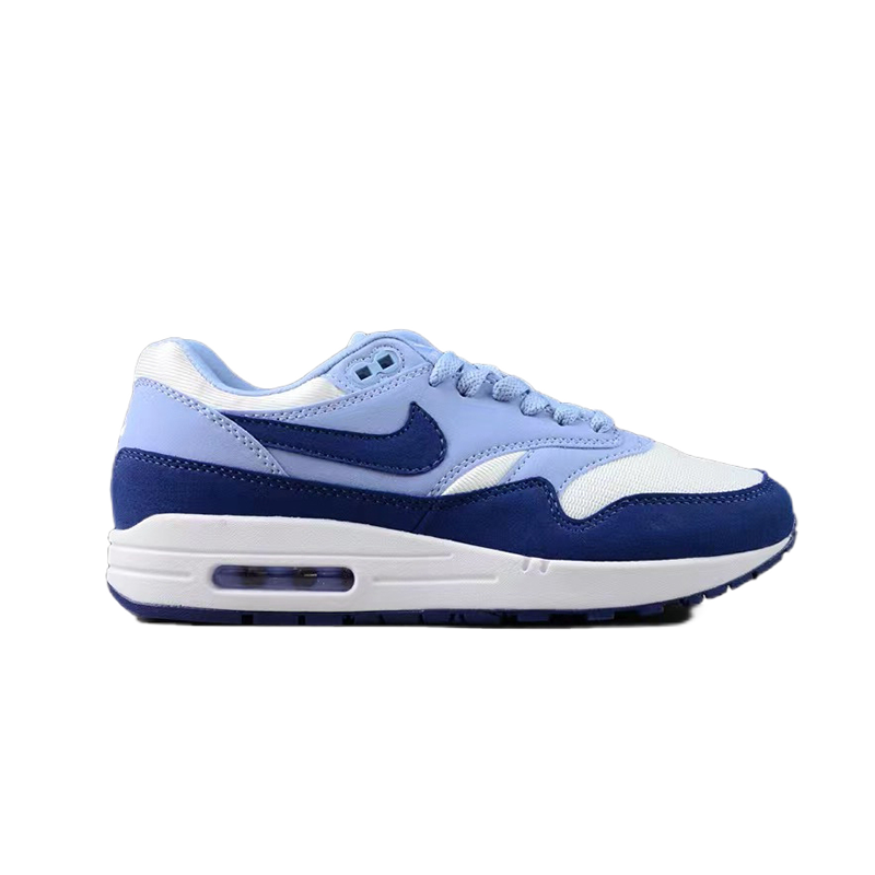 Nike Air Max 1 Light Gray and Charcoal Sneakers - 24
