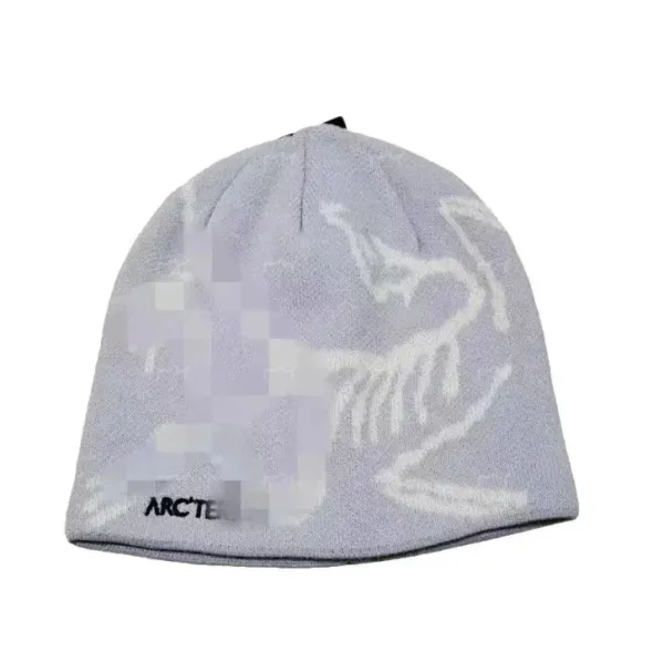 Arc'teryx Bird Logo Beanie Gray - 1