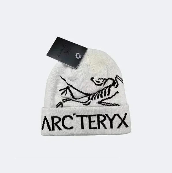 Arc'teryx Bird Logo Beanie White - 1
