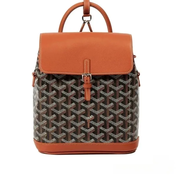 Goyard Saint Louis Mini Backpack Cognac - 1