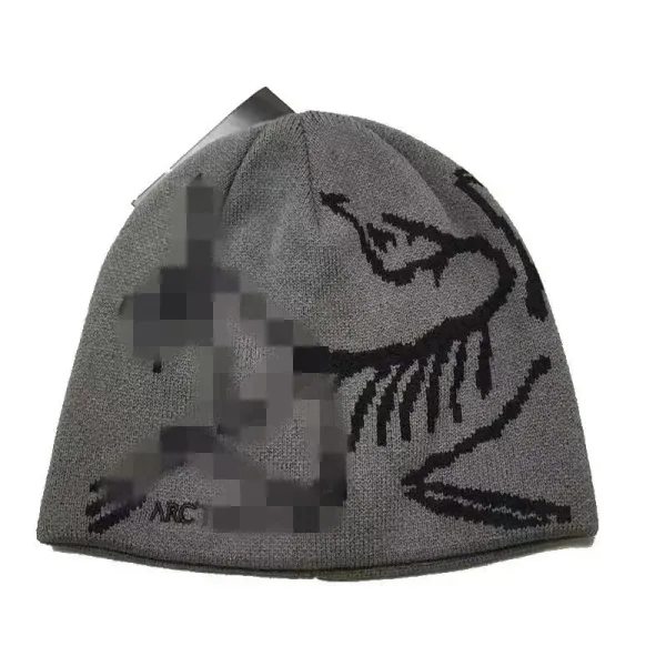Arc'teryx Bird Fossil Beanie Gray - 1