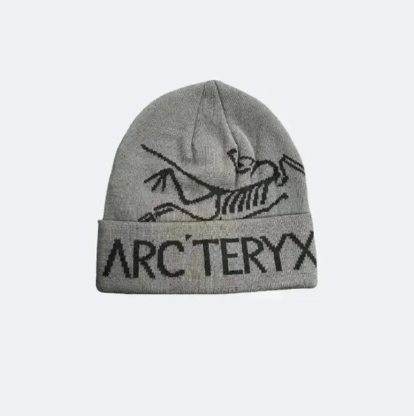 Arc'teryx Bird Logo Beanie Gray - 1