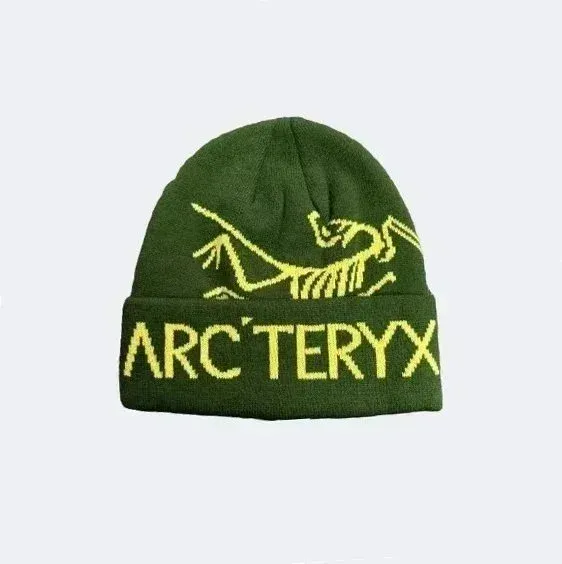 Arc'teryx Bird Logo Beanie Army Green - 1