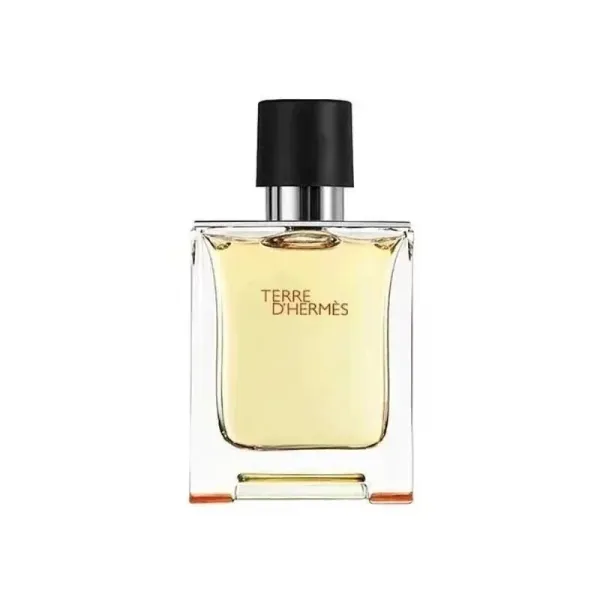 Hermès Terre d'Hermès Eau de Toilette Perfume - 1