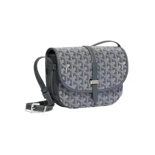 Goyard Saint Louis PM Gray Canvas Crossbody Bag - 1