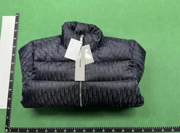 Dior Oblique Monogram Silver Gray Down Jacket - 8