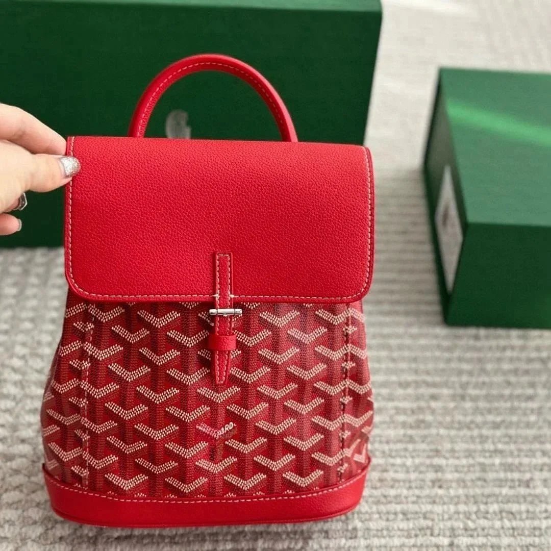 Goyard Saint-Louis Mini Backpack Red - 1