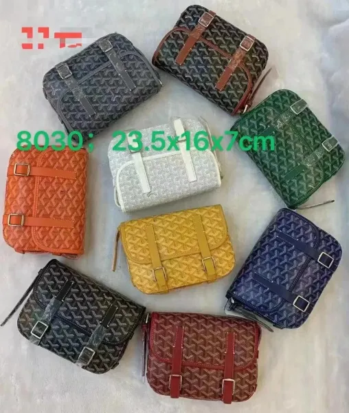 Goyard Saint Louis PM Crossbody Bag Multicolor - 1
