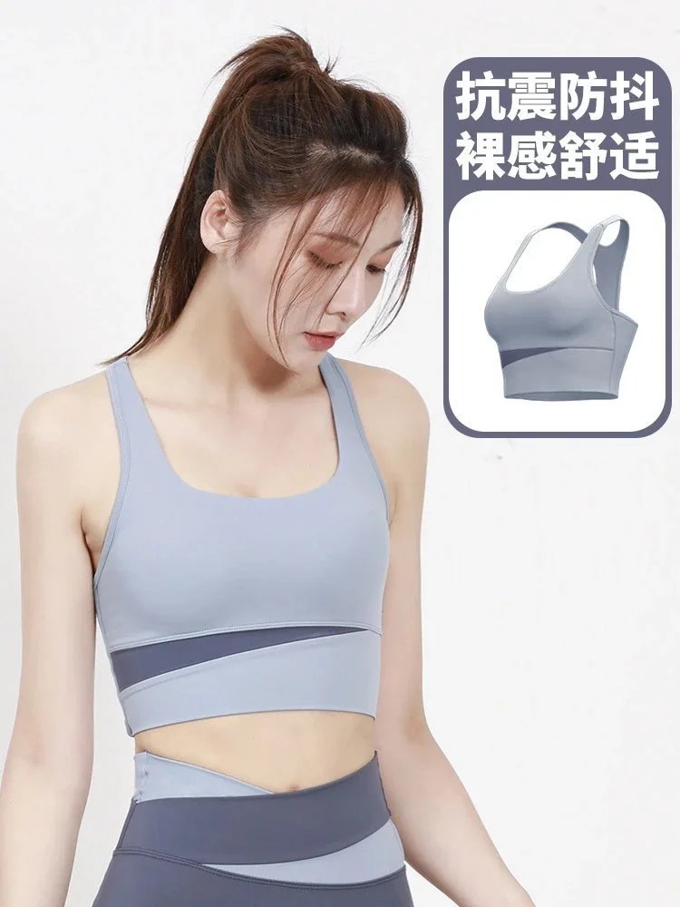 Gray Lake Blue Bra