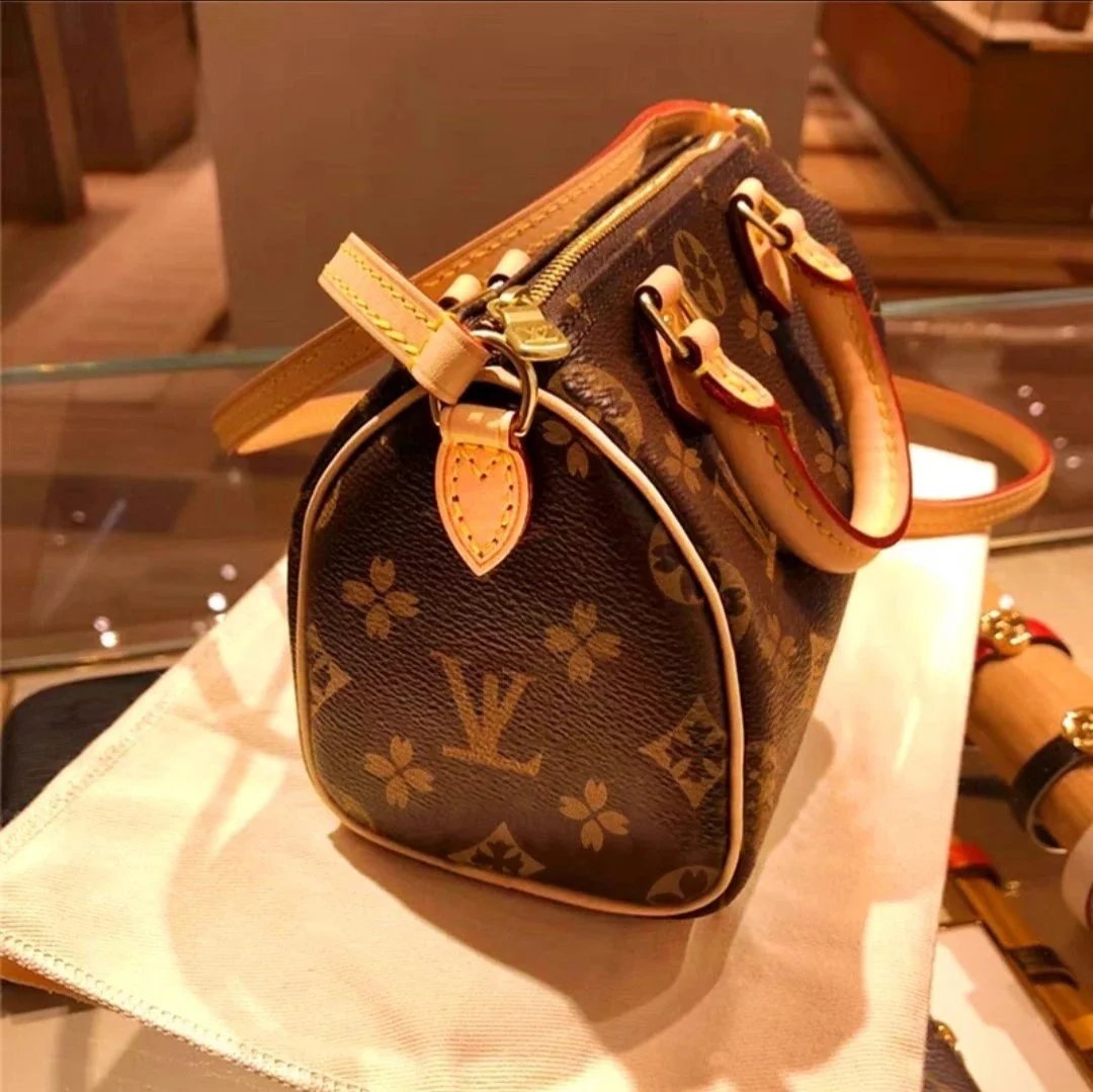 Louis Vuitton Monogram Cherry Blossom Speedy 20 Handbag