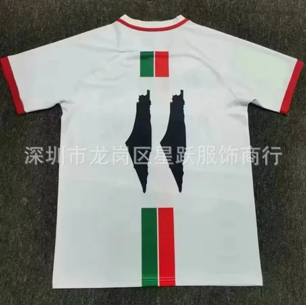 Design Palestine Solidarity Jersey White/Red/Green - 1