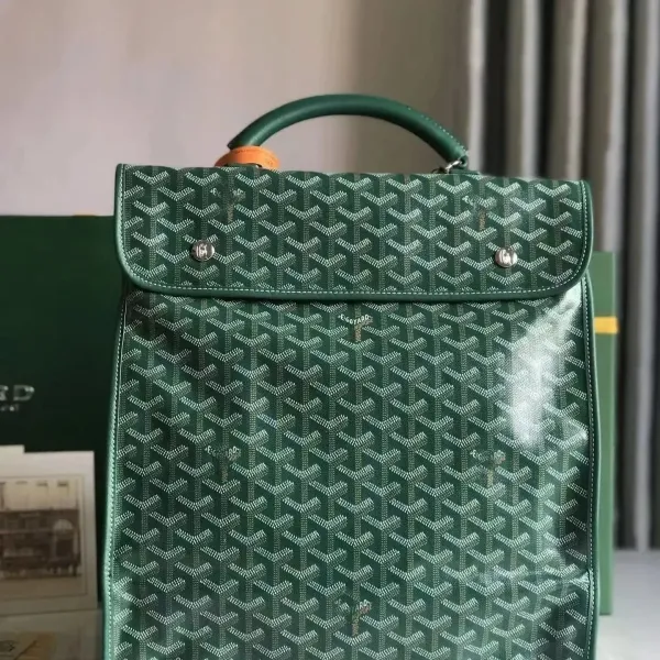 Goyard Saint Louis PM Green Chevron Canvas Handbag - 1
