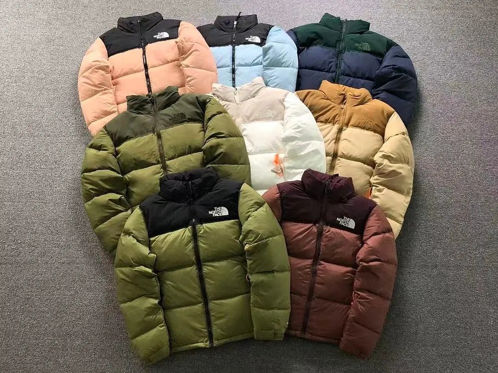 The North Face Down Jacket — W2CFinds curated find