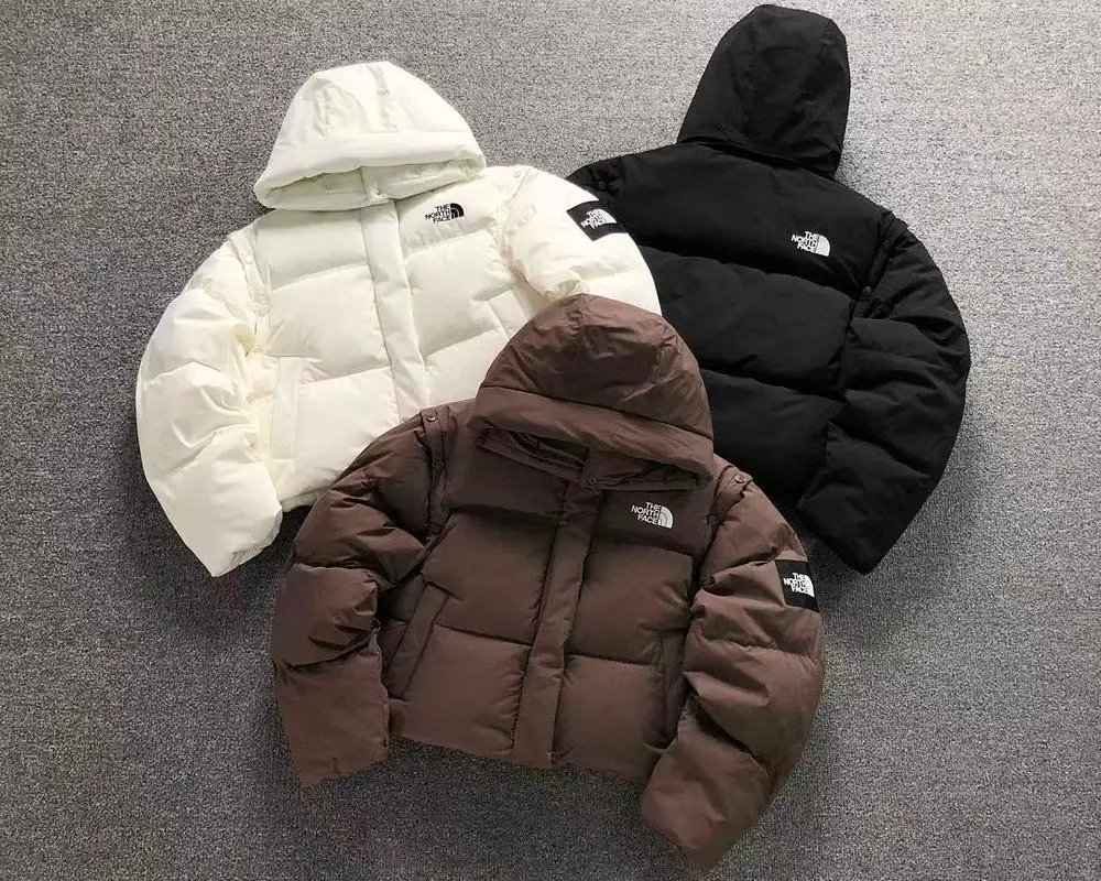 The North Face Down Jackets — W2CFinds curated find