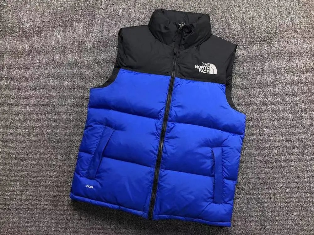 The North Face Vests 700-fill color-block puffer vest — Style 5