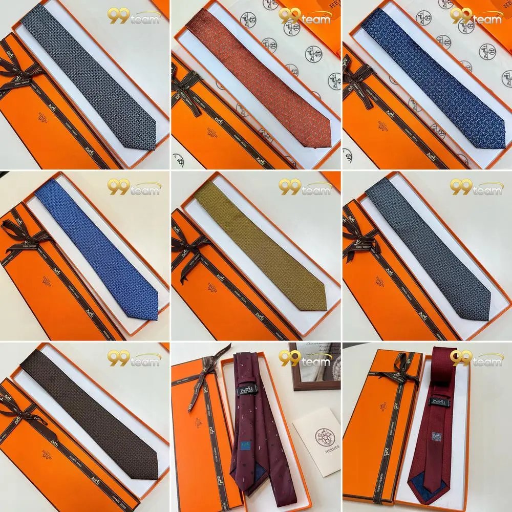 Hermes Ties