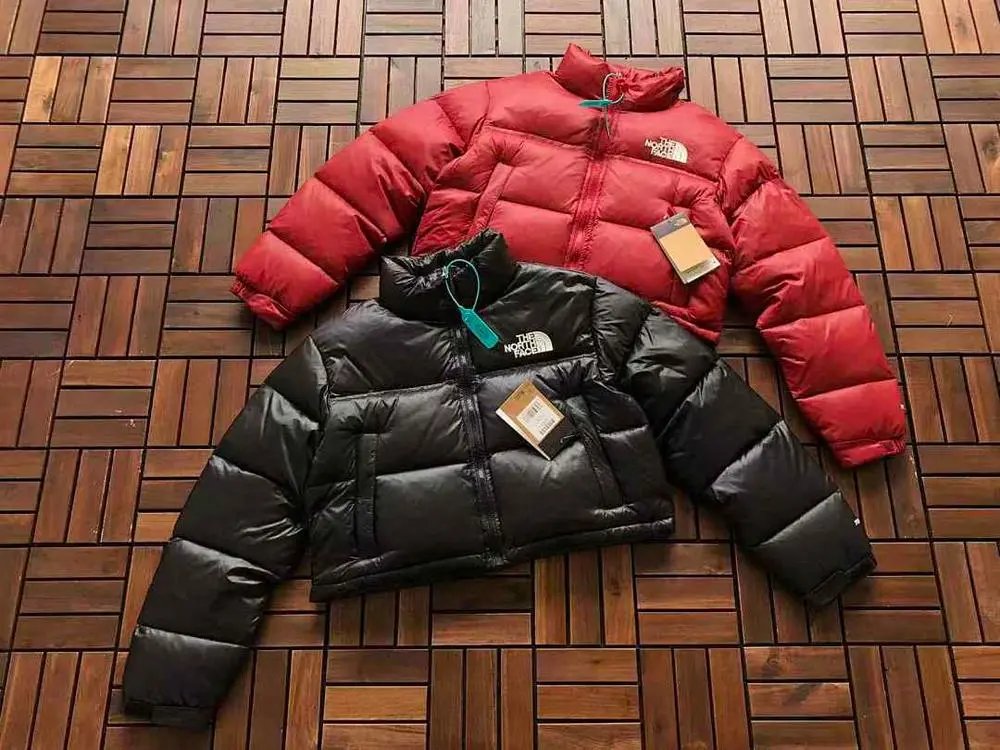 The North Face Down Jackets — W2CFinds curated find