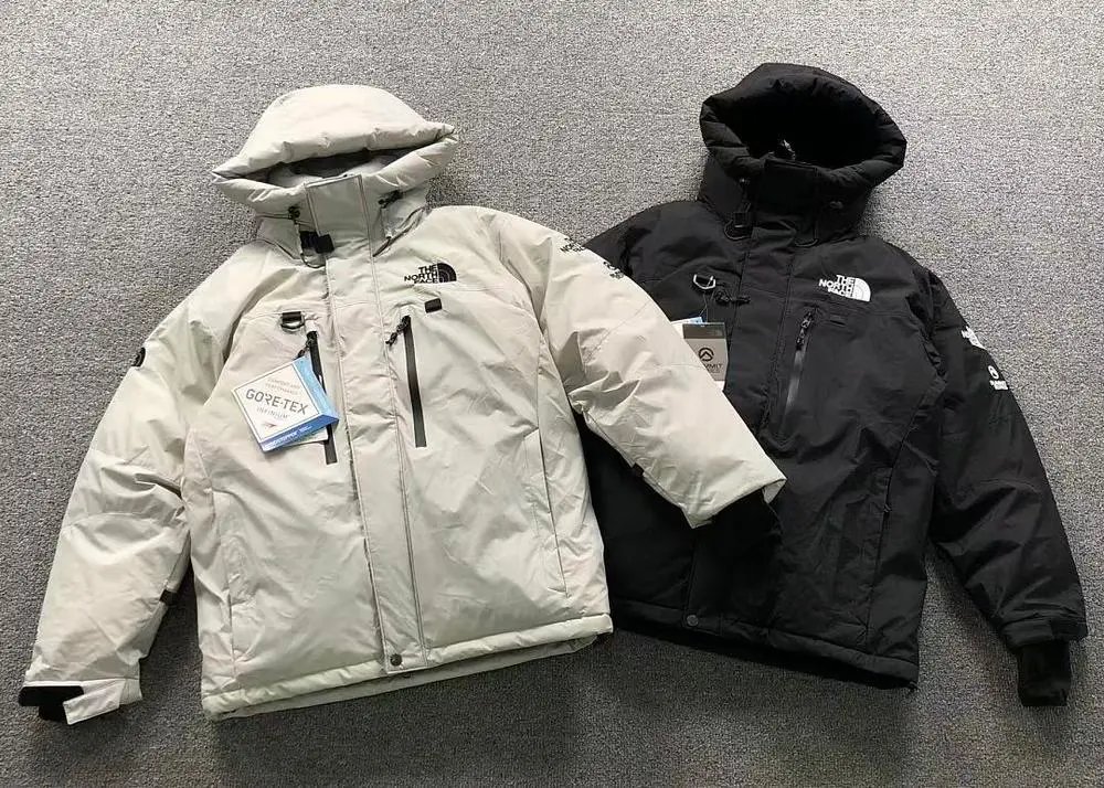 The North Face Down Jackets — W2CFinds curated find