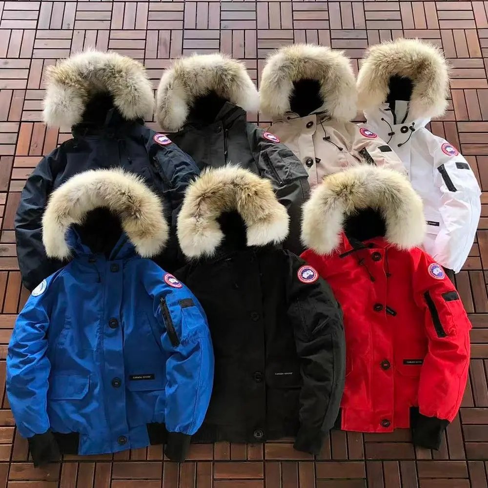 Canada Goose Down Jackets — W2CFinds curated find