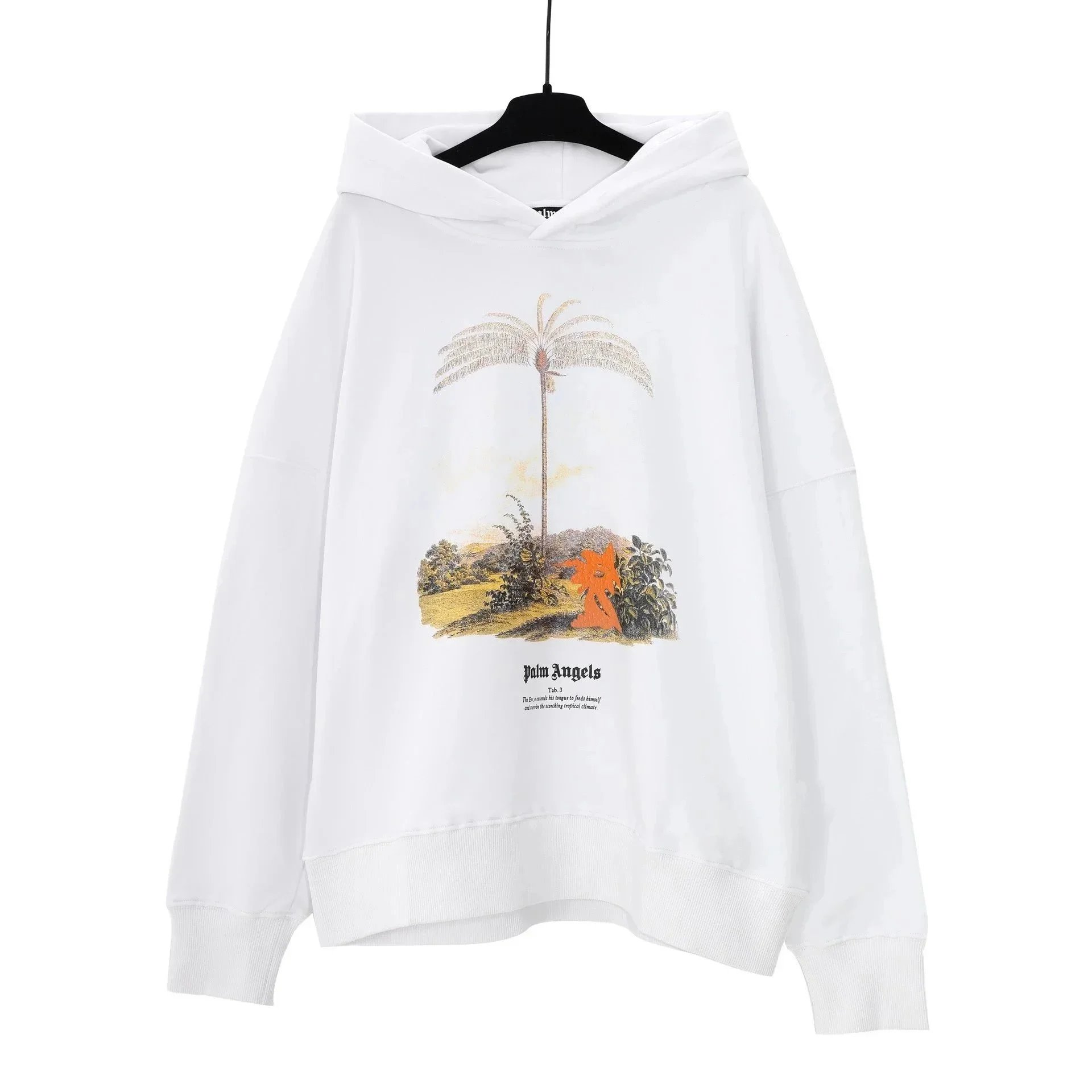 Palm Angels Hoodies & Sweatshirts Graphic Pullover Hoodie image 5