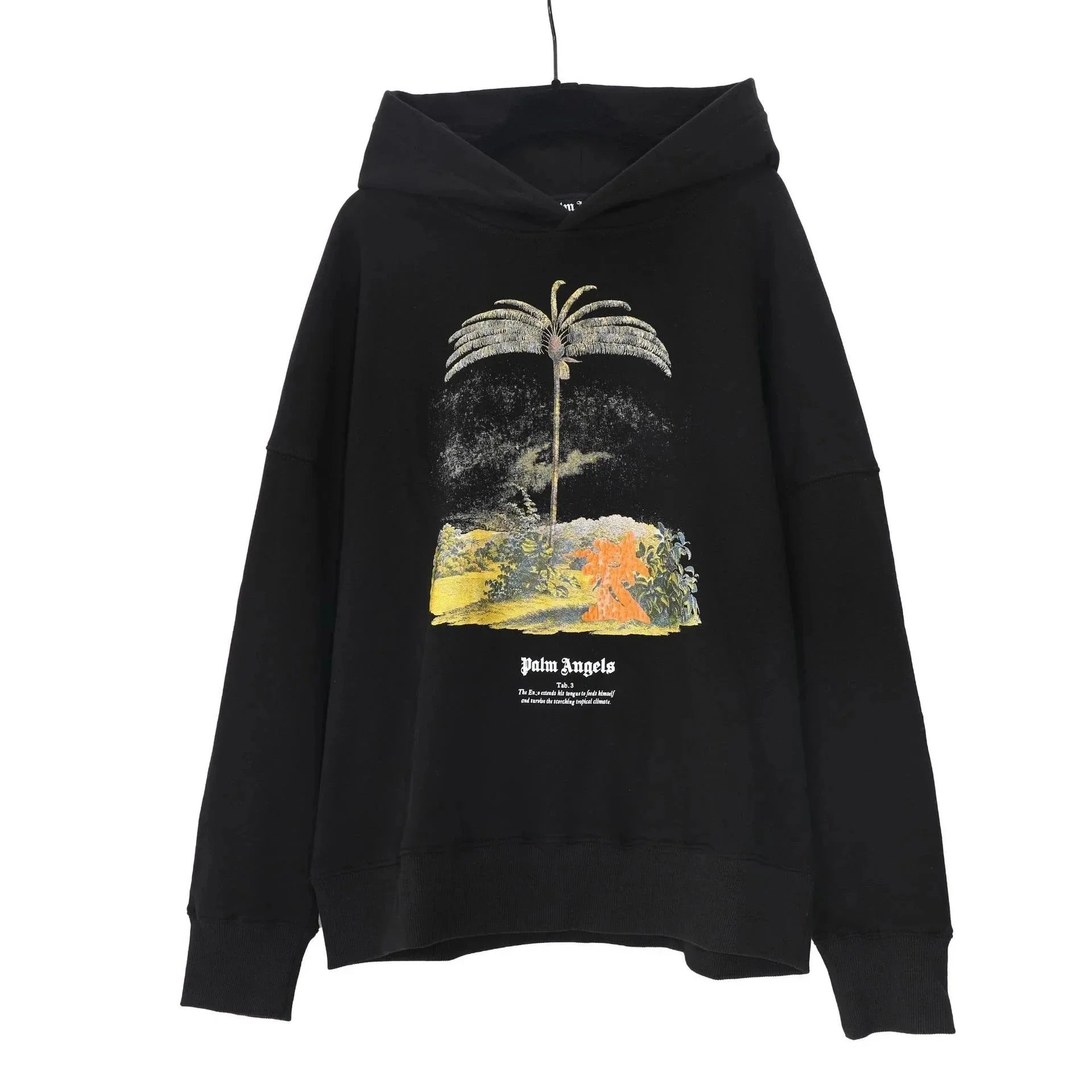 Palm Angels Hoodies & Sweatshirts Graphic Pullover Hoodie image 4