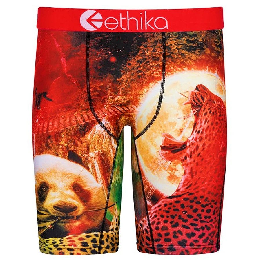 Ethika Underwear Printed Boxer Briefs — Panda Sea Lion