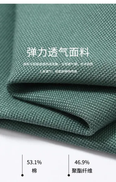 Design PAISENLONG Plaid Collar Embroidered Logo Polo Green Polo Shirt - 7