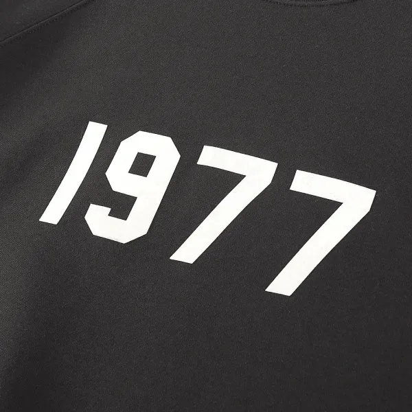 Design 1977 Graphic Hoodie Gray - 13