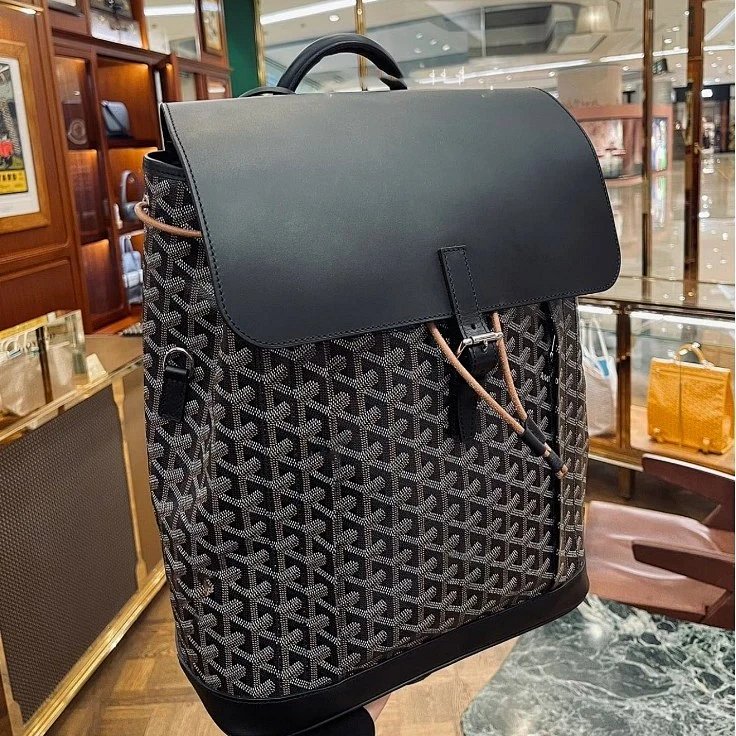 Gaodeya Men's Backpack AlPin Classic Y-Pattern Print Flap Large Capacity Commuter Bag