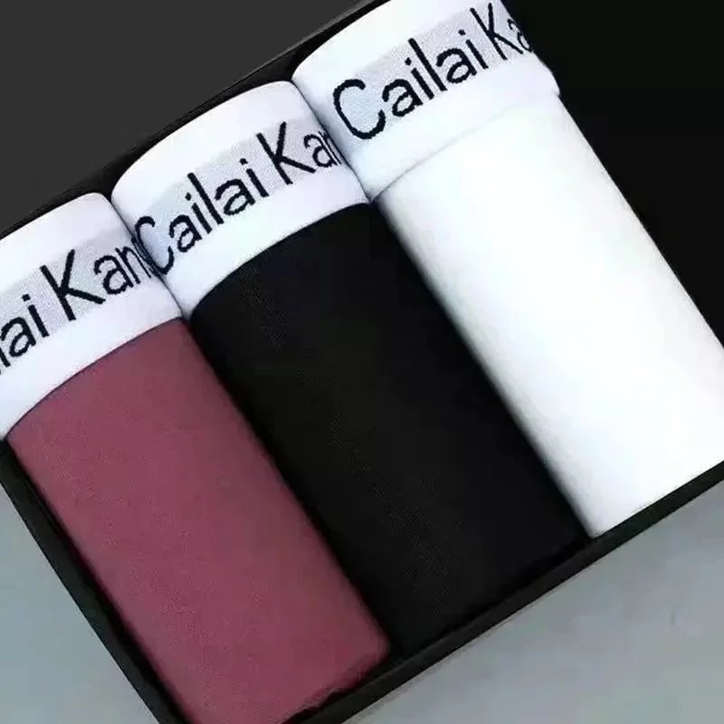 Ck [Three Tasting Pack] # Upgrade Comfort C