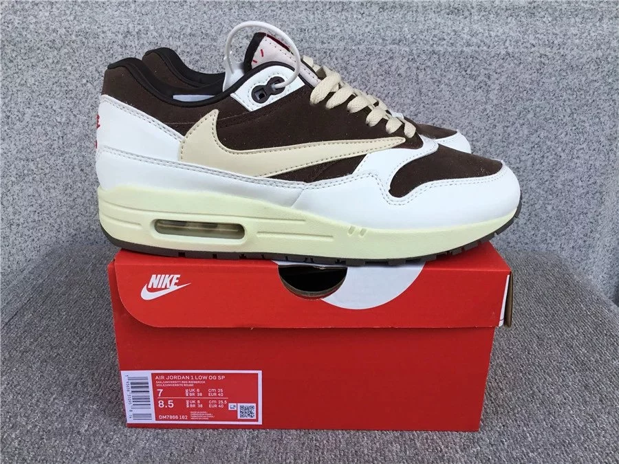 Nike Air Max 1 shoes