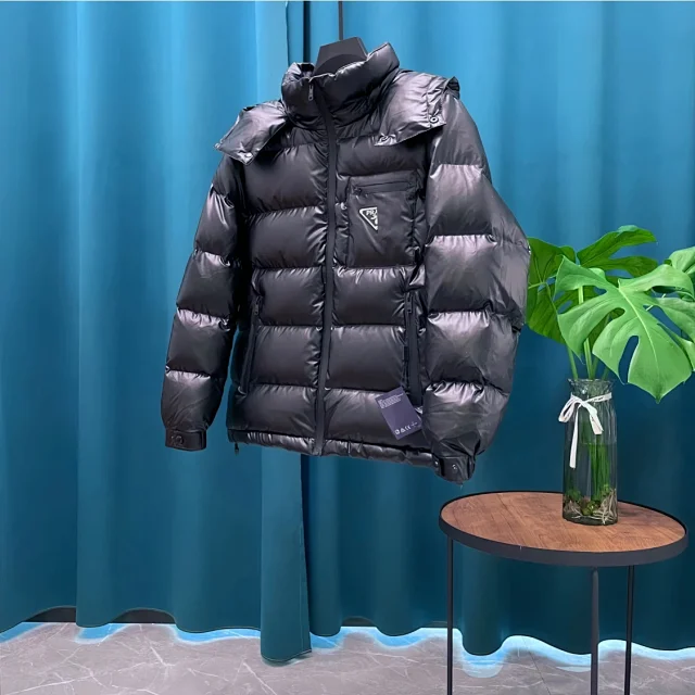 PRA2025 Unisex Minimalist Hooded Down Jacket Detail