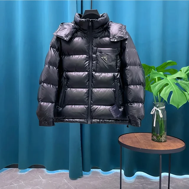 PRA2025 Unisex Minimalist Hooded Down Jacket Detail