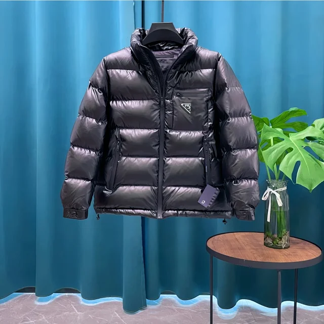 PRA2025 Unisex Minimalist Hooded Down Jacket Detail