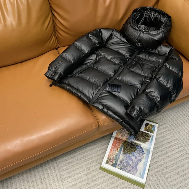 PRA2025 Unisex Minimalist Hooded Down Jacket Detail