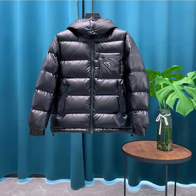 PRA2025 Unisex Minimalist Hooded Down Jacket Detail