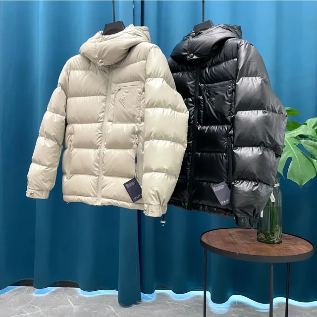 PRA2025 Unisex Minimalist Hooded Down Jacket Detail
