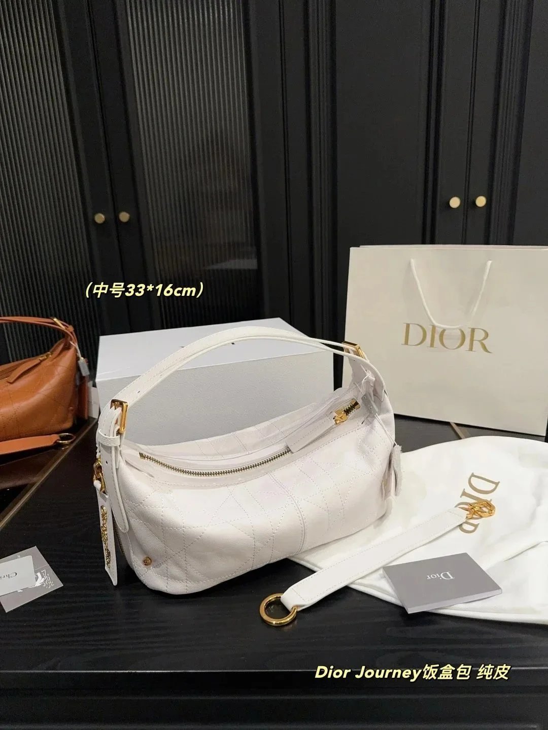 Dior Journey Tote Bag [37 styl
