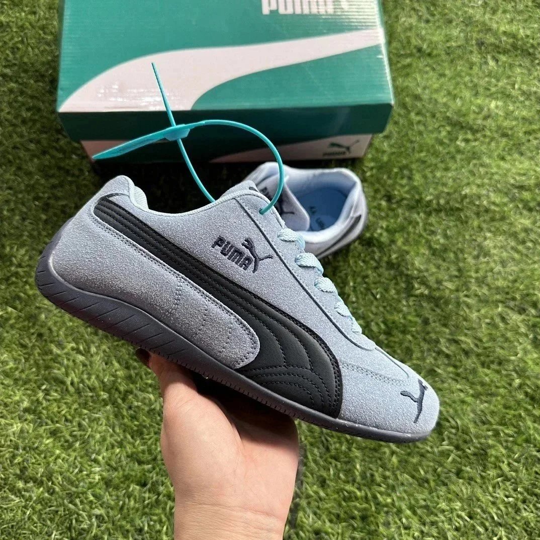 Gray-Blue