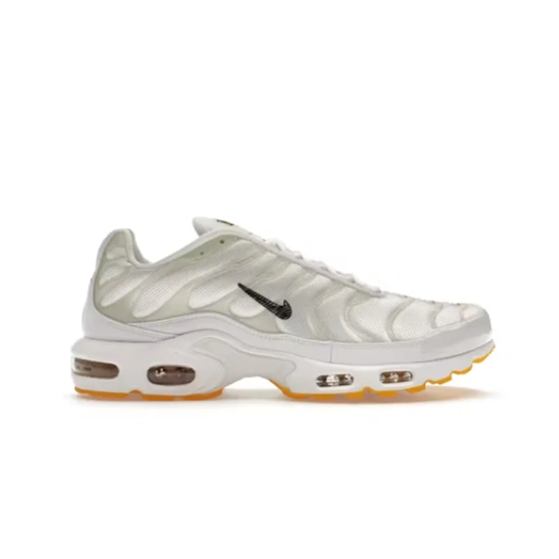 Nike air Max Plus M. Frank Rudy 