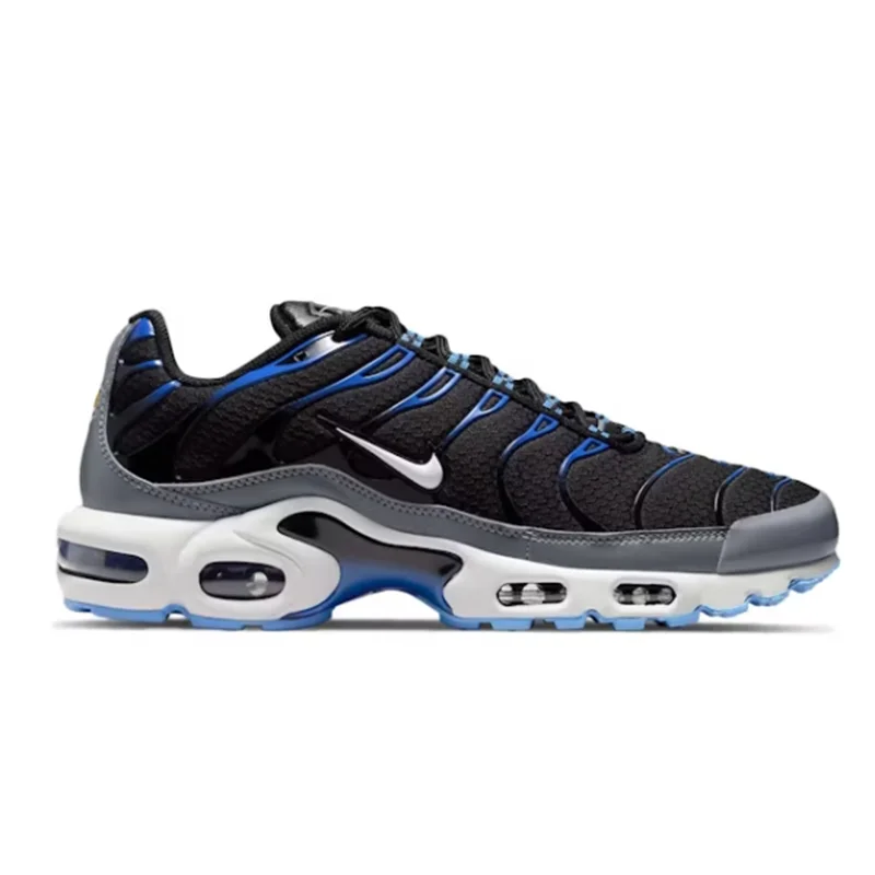 Nike air Max Plus Black Royal Grey 