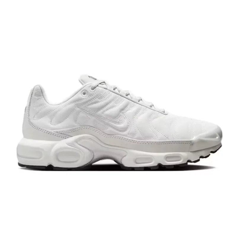 Nike air Max Plus Platinum Tint 