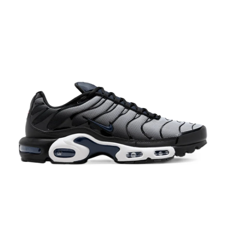 Nike air Max Plus